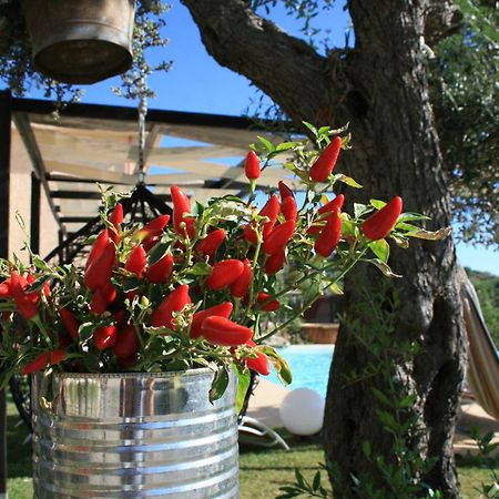 Il Podere Dell'Angelo Old Country House Belvedere Marittimo Buitenkant foto